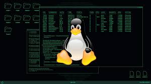 Dominá SSH y SCP en Linux: Qué son, sintaxis, opciones y ejemplos prácticos